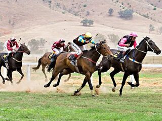 Скачки. "The Investec OAKS and Derby". Трансляция из Англии