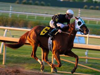 Скачки. Конноспортивный турнир "Терра Башкирия". 7-й этап