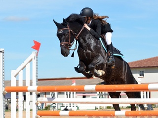 Скачки. Конноспортивный турнир "Терра Башкирия". 9 этап