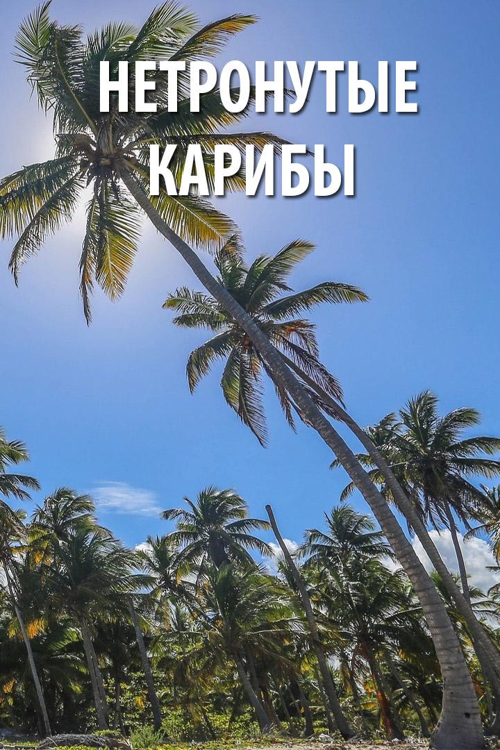 Нетронутые Карибы