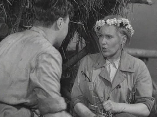 Волга-Волга