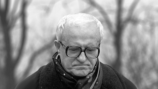 Неизвестный Свиридов