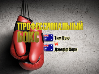 Профессиональный бокс. Тим Цзю против Джеффа Хорна. Бой за титул WBO Global в первом среднем весе. Трансляция из Австралии