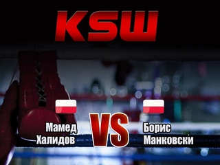Смешанные единоборства. KSW. Лучшее. Мамед Халидов против Бориса Манковски