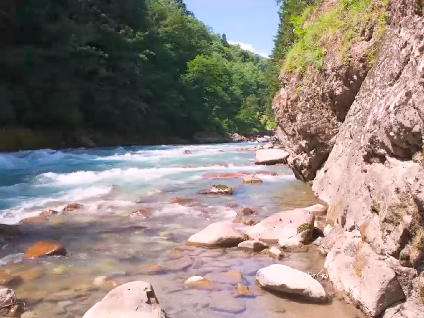 Река Большая Лаба