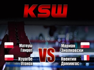 Смешанные единоборства. KSW 54. Матеуш Гамрот против Мариана Зиолковски. Изуагбе Угонох против Квентина Домингоса. Трансляция из Польши