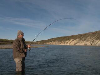 Волшебное путешествие по Аляске