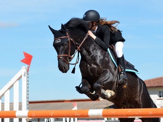 Скачки. Конноспортивный турнир Терра Башкирия 2020. 12 этап