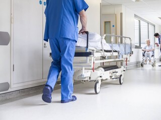 Психиатрическая больница. Дело жизни