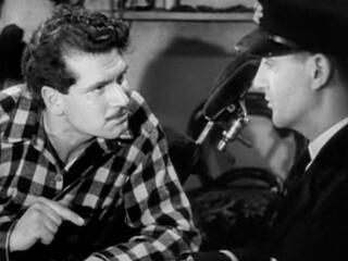 49-я параллель