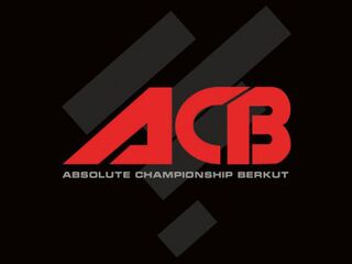 MMА. Шоу АСВ 53 Young Eagles 15. Адриан Желинский - Расул Яхъяев. Ольштын. Польша