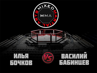MMA Series. ММА. Время Новых Героев. И.Бочков vs В.Бабинцев