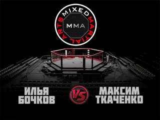 MMA Series. ММА Время Новых Героев. И.Бочков vs М.Ткаченко