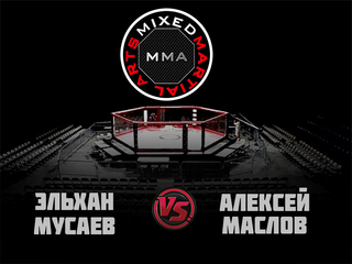 MMA Series. ММА. Время Новых Героев. Э.Мусаев vs А.Маслов