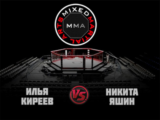 MMA Series. ММА. Время Новых Героев. И.Киреев vs Н.Яшин