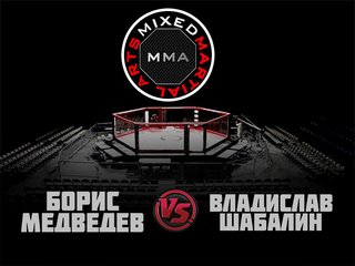 MMA Series. ММА. Время Новых Героев. Б.Медведев vs В.Шабалин