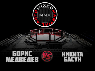 MMA Series. ММА. Время Новых Героев. Б.Медведев vs Н.Басун