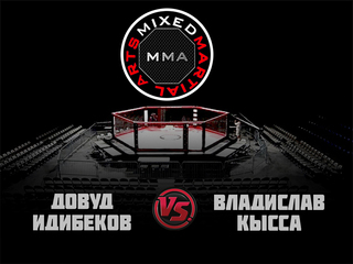 MMA Series. ММА. Время Новых Героев. Д.Идибеков vs В.Кысса