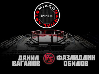 MMA Series. ММА. Время Новых Героев. Д.Ваганов vs Ф.Обидов