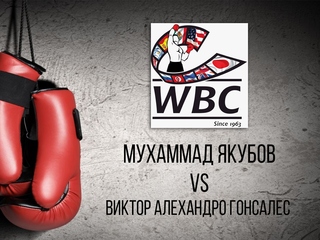 Мухаммад Якубов - Виктор Алехандро Гонсалес. Десятираундовый бой в первом лёгком весе (до 59 кг) за титул WBC International