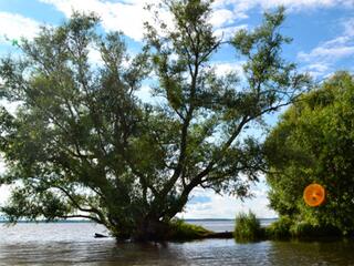 Остров Вежи"