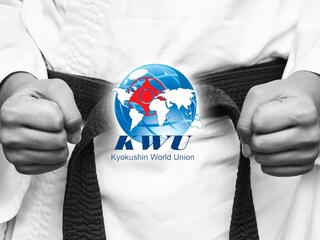 Чемпионат мира по Киокушинкай каратэ 2019. Нур-султан. Казахстан