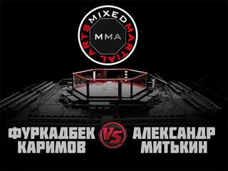 MMA Series. ММА. Время Новых Героев. Ф.Каримов vs А.Митькин