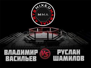MMA Series. ММА. Время Новых Героев. В.Васильев vs Р.Шамилов