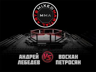 ММА Серия-7: Народный чемпионат. А. Лебедев vs В. Петросян