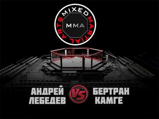 ММА Серия-17: Blacksmith. А. Лебедев vs Б. Камге