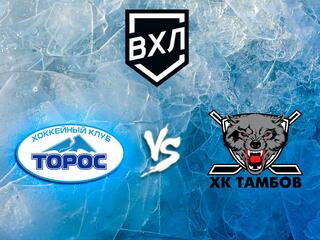 Хоккей. "Торос" (Нефтекамск) - "Тамбов" (Тамбов)