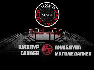 MMA Series. ММА Серия-14: FCP. Ш. Салаев vs А. Магомедалиев