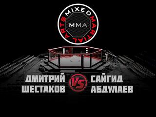 MMA Series. ММА Серия-14: FCP. Д. Шестаков vs С. Абдулаев