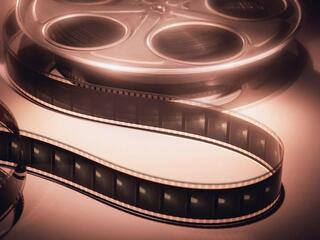 Таёжная пленница