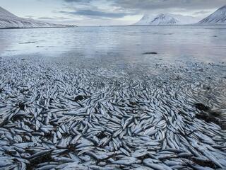 Исландские сказки