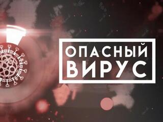 Опасный вирус. Первый год