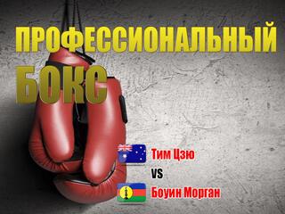 Профессиональный бокс. Тим Цзю против Боуина Моргана. Бой за титул чемпиона WBO Global в первом среднем весе.  Трансляция из Австралии