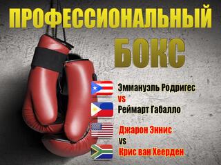 Профессиональный бокс. Эммануэль Родригес против Реймарта Габалло. Бой за титул чемпиона WBC в легчайшем весе. Джарон Эннис против Криса ван Хеердена