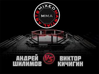 MMA Series. ММА. Время Новых Героев. А.Шилимов vs В.Кичигин