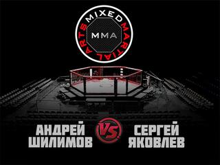 MMA Series. ММА. Время Новых Героев. А.Шилимов vs С.Яковлев