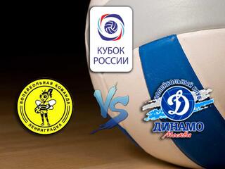 Волейбол. Кубок России 20/21. Женщины. Полуфинал. Ленинградка СПб - Динамо Москва