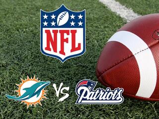 Американский футбол. Регулярный сезон NFL 2020/21. Неделя 15. Майами Долфинз - Нью-Ингланд Пэтриотс