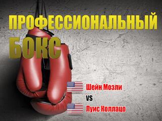 Профессиональный бокс. Шейн Мозли против Луиса Коллацо. Трансляция из США