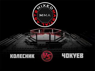 ММА Серия-17: Blacksmith. В. Колесник vs К. Чокуев