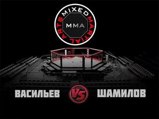 ММА Серия-11: Время Новых Героев. В. Васильев vs Р. Шамилов