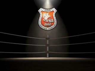 ММА. "Кубок Святого Георгия"