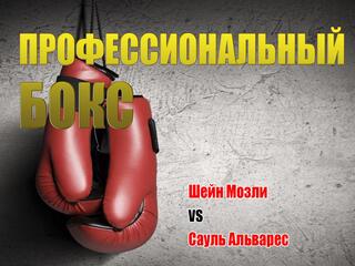 Профессиональный бокс. Шейн Мозли против Сауля Альвареса. Трансляция из США