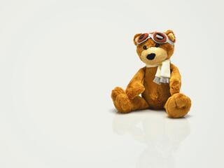 Райские птицы