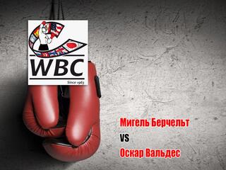 Профессиональный бокс. Мигель Берчельт против Оскара Вальдеса. Бой за титул чемпиона мира по версии WBC в первом лёгком весе. Трансляция из США