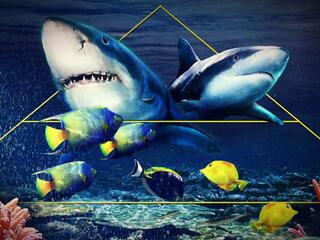 Акулы. Руководство к действию